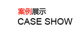 案例展示